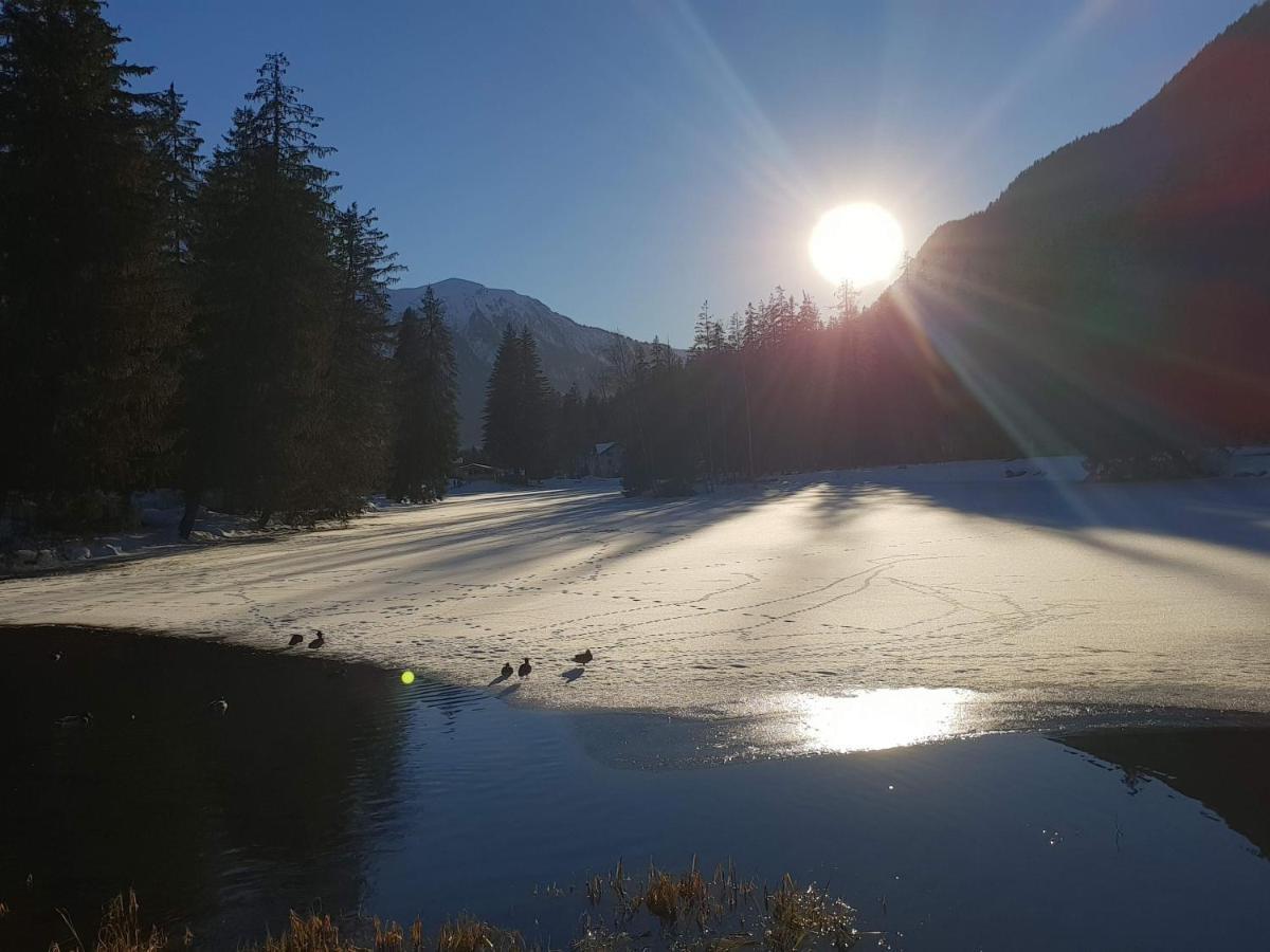 Alpenrose Chamonix Pansiyon Dış mekan fotoğraf